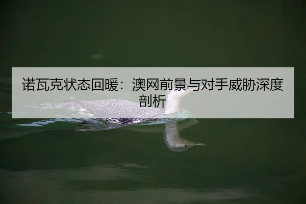诺瓦克状态回暖：澳网前景与对手威胁深度剖析